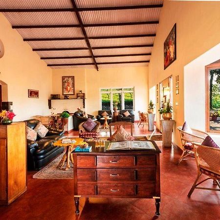 Teanest - Nature Resorts, Coonoor Ooty Extérieur photo